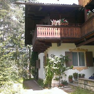 B&B Villa Dolomites Hut